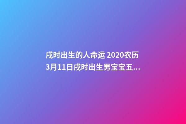 戌时出生的人命运 2020农历3月11日戌时出生男宝宝五行八字是什么，八字还缺什么？（起名字作为参考）-第1张-观点-玄机派